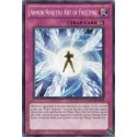Armor Ninjitsu Art of Freezing - ORCS-EN068