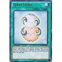 Stray Lambs - LCJW-EN289