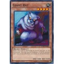 Giant Rat - SDGR-EN020