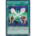 Soul Exchange - AP05-EN021