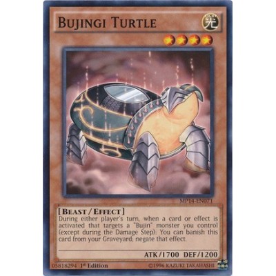 Bujingi Turtle - AP05-EN009