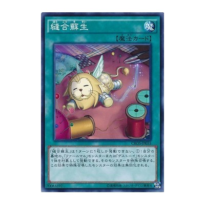 Stitching Reborn - CROS-JP055