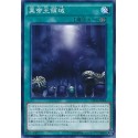 Domain of the True Monarchs - CROS-JP086
