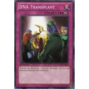 DNA Transplant - LCYW-EN292