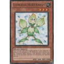Elemental HERO Knospe - PP02-EN005