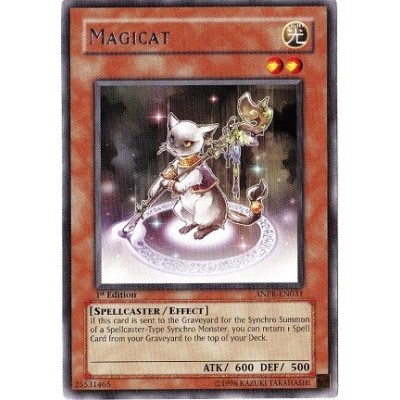 Magicat - ANPR-EN031 - Nova