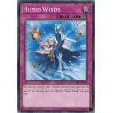 Humid Winds - CORE-EN074