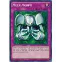 Metalmorph - DT02-EN046