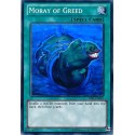 Moray of Greed - SDRE-EN029