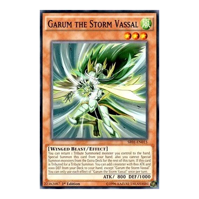 Garum the Storm Vassal - SR01-EN015