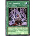 Level Down!? - CDIP-EN046