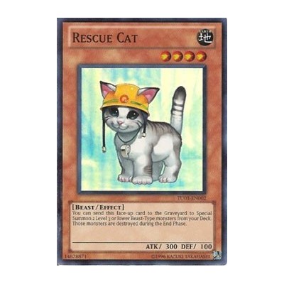 Rescue Cat - CP05-EN015