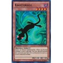 Kagetokage - YS13-EN016