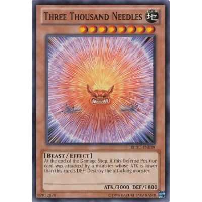 Three Thousand Needles - REDU-EN039