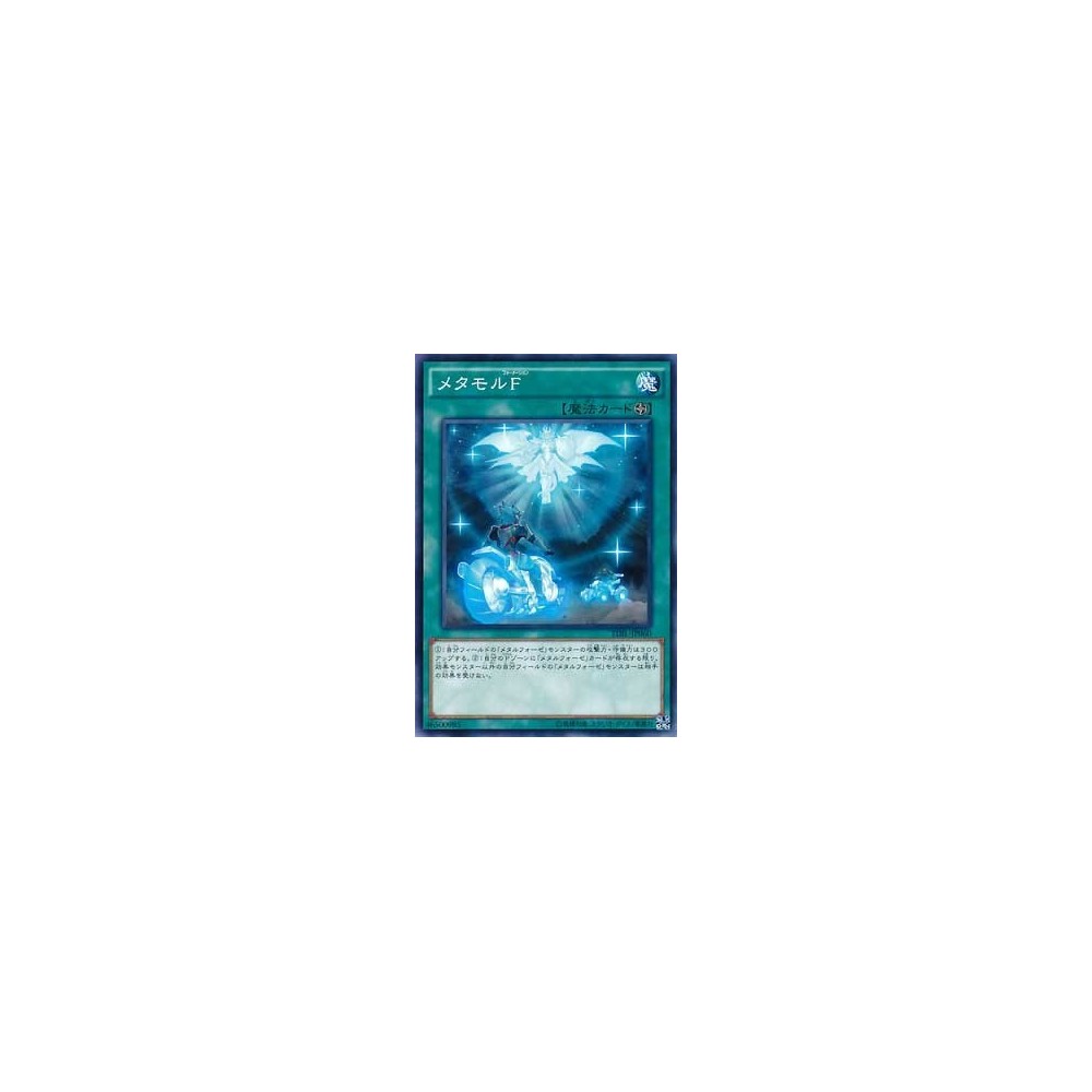 Metamorformation - TDIL-JP060