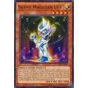 Silent Magician LV4 - DPRP-EN019