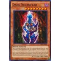 Dark Necrofear - DPRP-EN040
