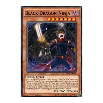 Black Dragon Ninja - TDIL-EN036