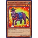 Performapal Secondonkey - YS16-EN012