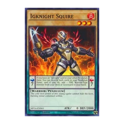 Igknight Squire - MP16-EN065