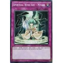 Spiritual Wind Art - Miyabi - AP07-EN024