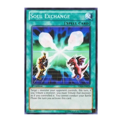 Soul Exchange - YSKR-EN029
