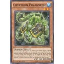 Crystron Prasiortle - INOV-EN017