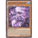 Crystron Thystvern - INOV-EN019