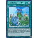 Miracle Fertilizer - FUEN-EN053