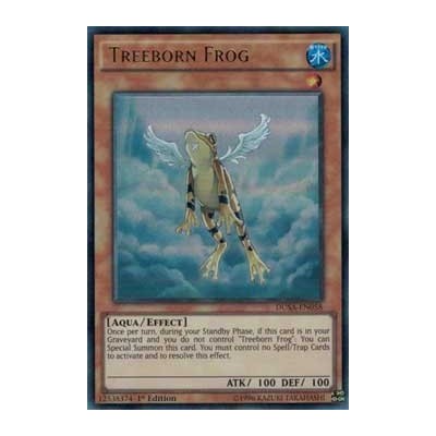Treeborn Frog - DUSA-EN058
