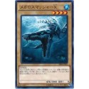Megalosmasher X - SR04-JP003