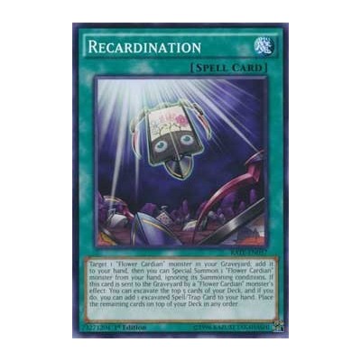 Recardination - RATE-EN057