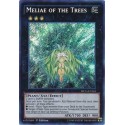 Meliae of the Trees - MP14-EN165