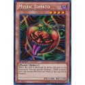 Mystic Tomato - SDMA-EN002