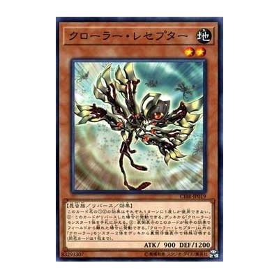 Crawler Receptor - CIBR-JP019