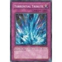Torrential Tribute - RP02-EN034