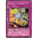 Assault Counter - CRMS-EN075