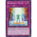 Reinforce Truth - YS11-EN040 - Nova