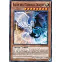 Light and Darkness Dragon - AP02-EN016