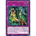 Amazoness Onslaught - DP18-JP011