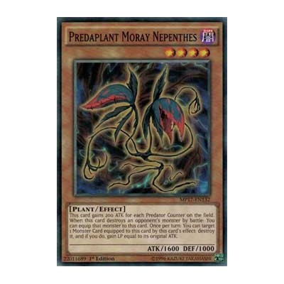 Predaplant Moray Nepenthes - MP17-EN132