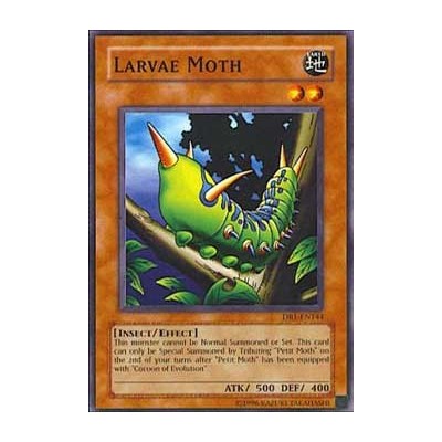Larvae Moth - MRD-007 - Nova