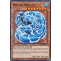 Water Dragon - LEDU-EN042