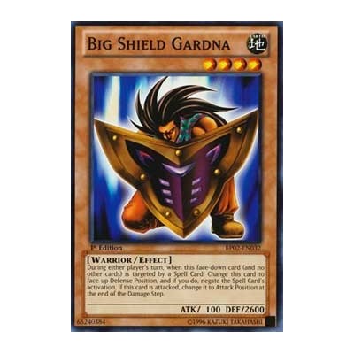 Big Shield Gardna - LCYW-EN032