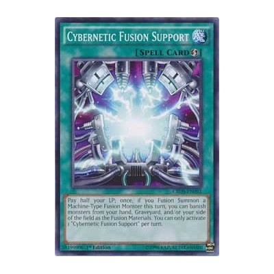 Cybernetic Fusion Support - CROS-EN092