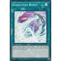 Evolution Burst - LEDD-ENB14