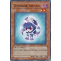 Chrysalis Pantail - TAEV-EN007