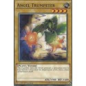 Angel Trumpeter - SHVI-EN001 x