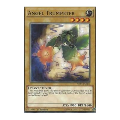 Angel Trumpeter - SHVI-EN001 x