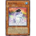 Dupe Frog - CRMS-EN028
